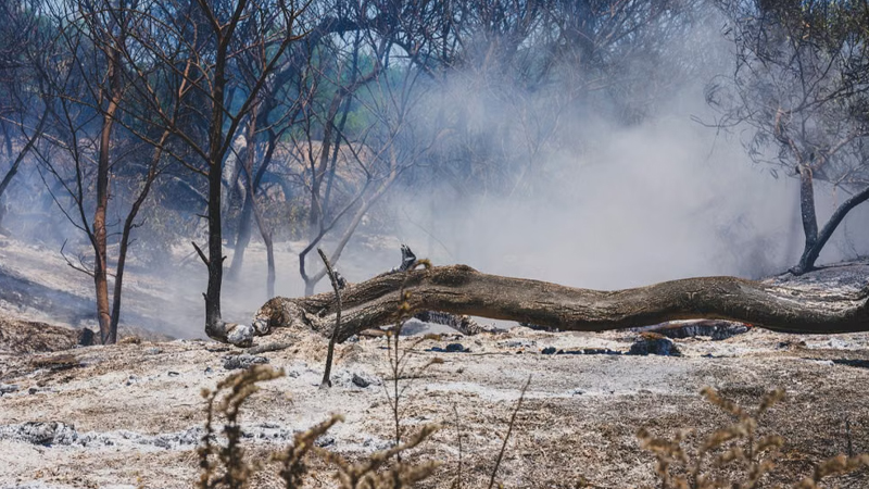 Global Insured Catastrophe Losses Lowest Since 2020
